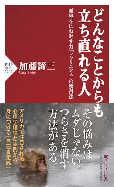 どんなことからも立ち直れる人</br>逆境をはね返す力「レジリエンス」の獲得法